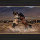 Desert Duel