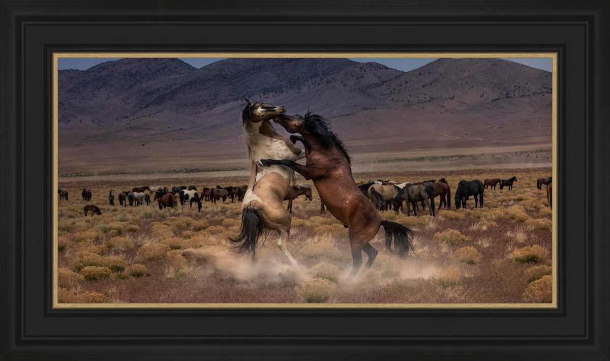 Desert Duel