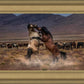 Desert Duel
