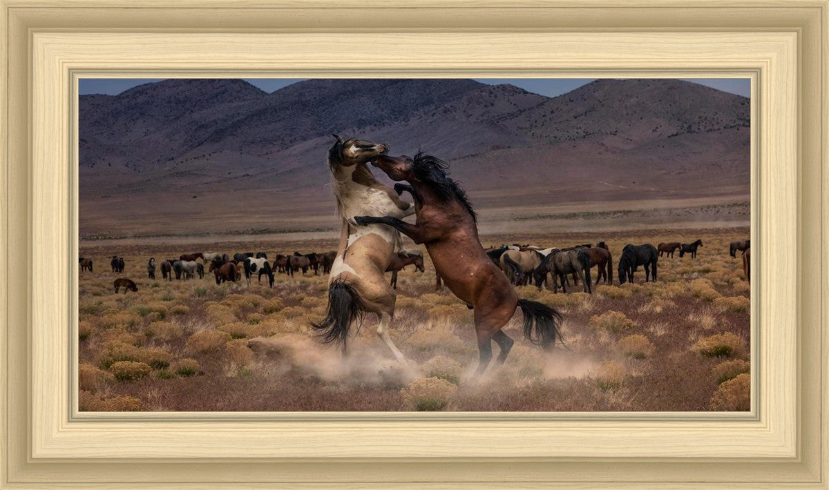 Desert Duel