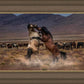Desert Duel