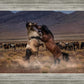 Desert Duel