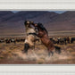 Desert Duel