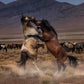 Desert Duel