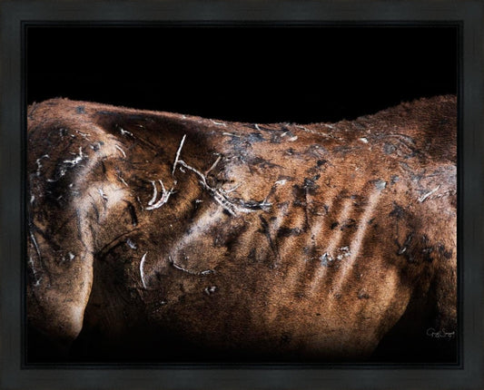 Battle Wounds Gallery Wrap