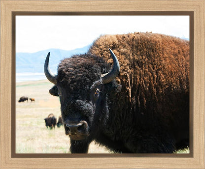 What Are You Looking At