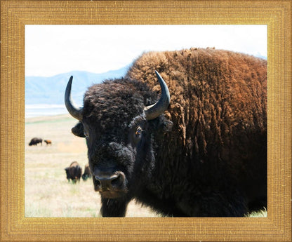 What Are You Looking At