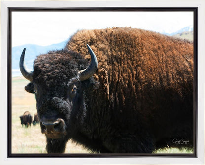 What Are You Looking At