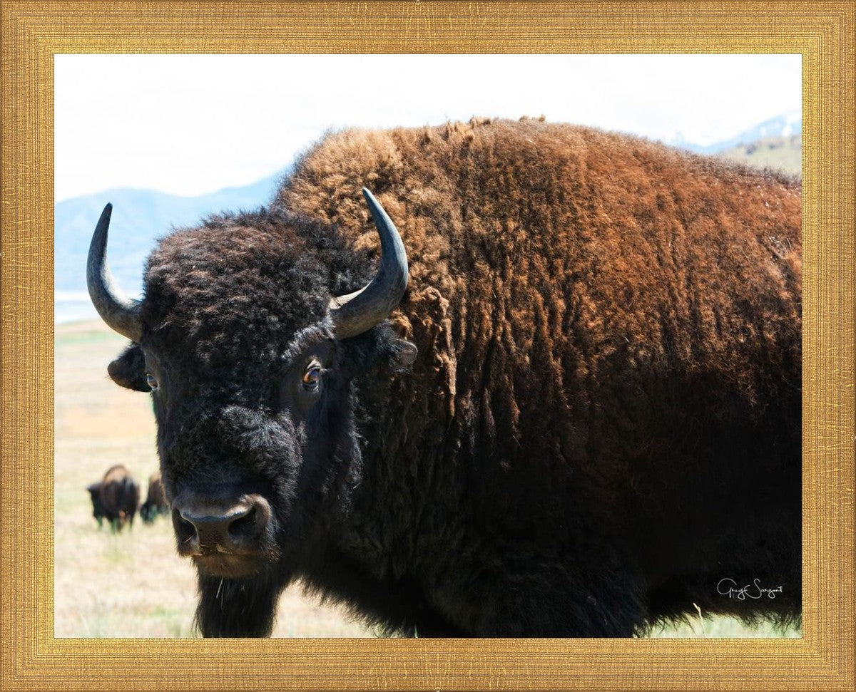 What Are You Looking At