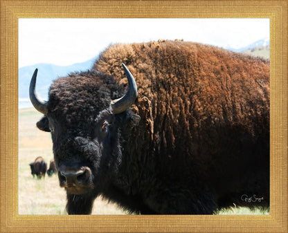 What Are You Looking At