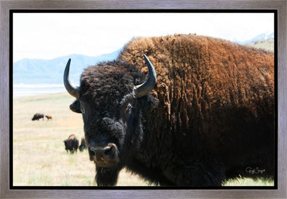 What Are You Looking At