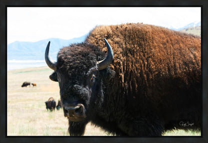 What Are You Looking At