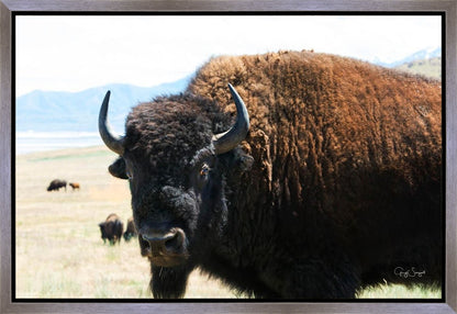 What Are You Looking At