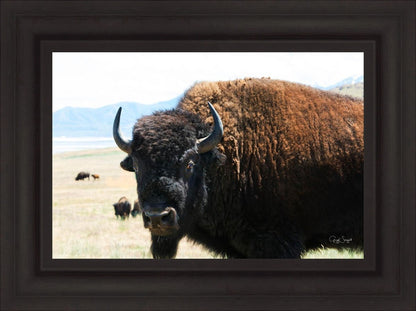 What Are You Looking At