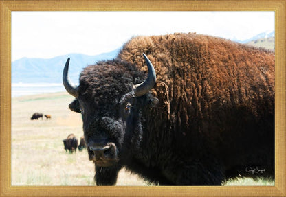 What Are You Looking At