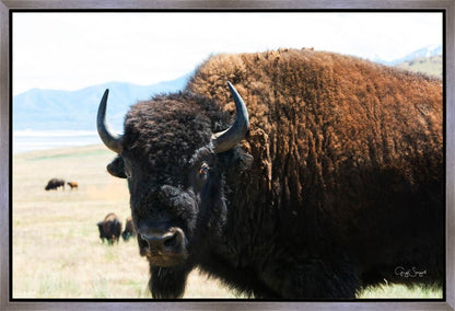 What Are You Looking At