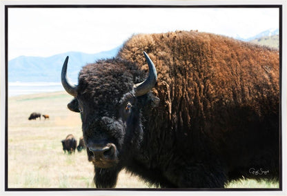 What Are You Looking At