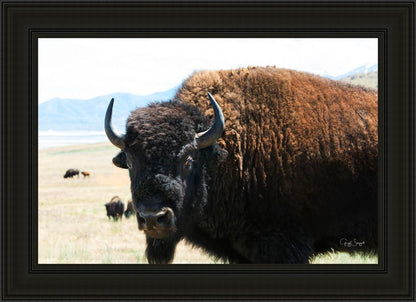 What Are You Looking At