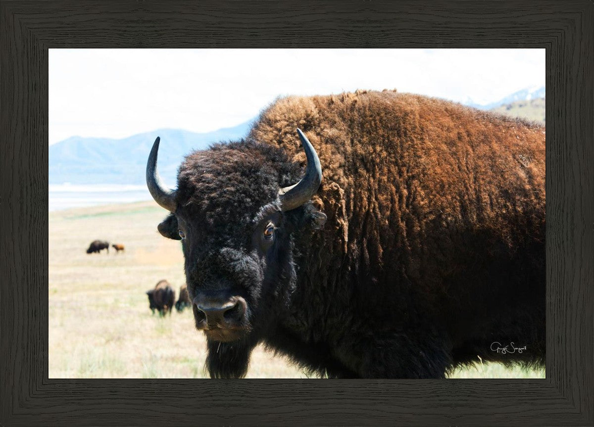 What Are You Looking At