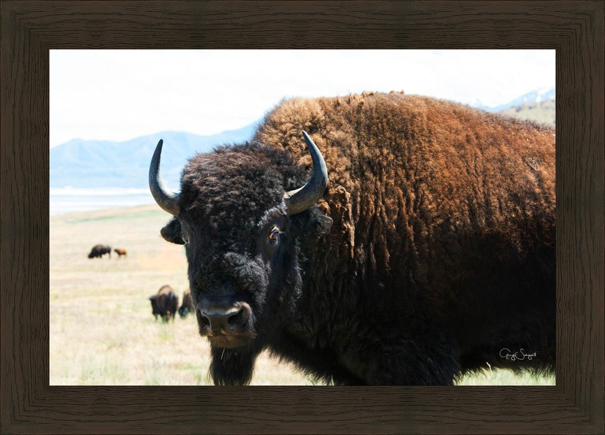 What Are You Looking At