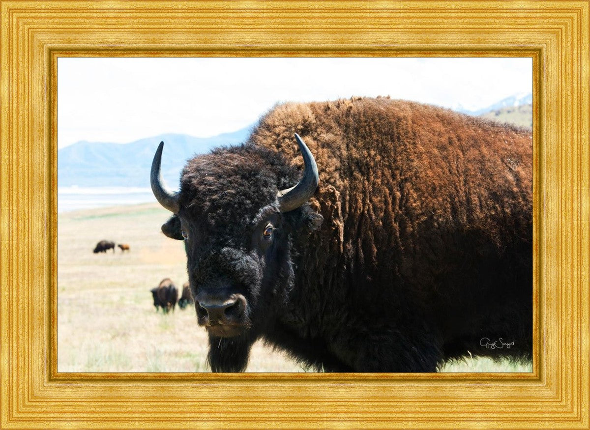 What Are You Looking At