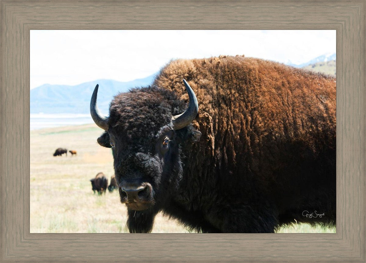 What Are You Looking At