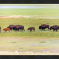 Migration