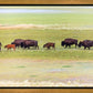 Migration