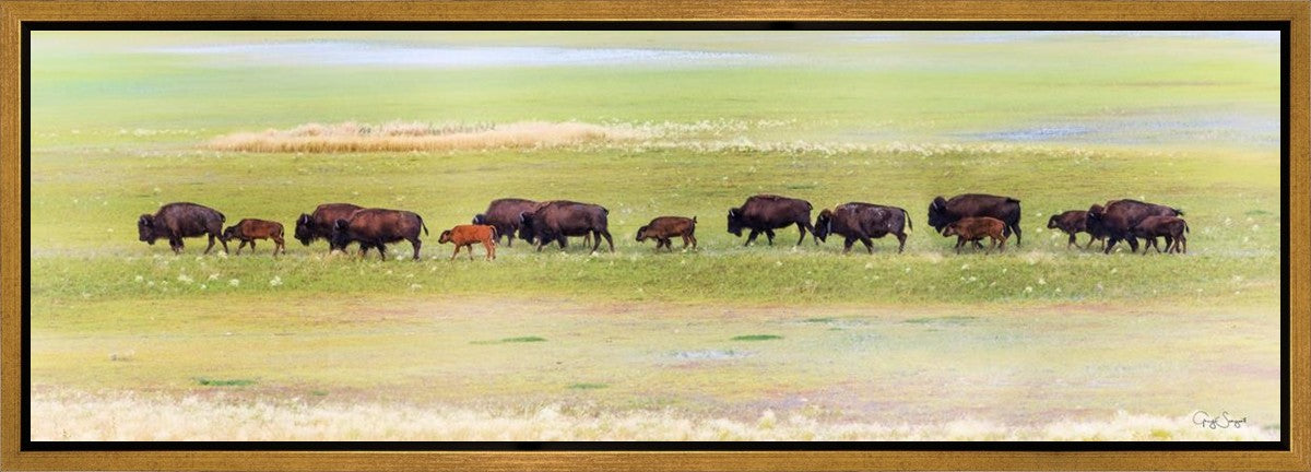 Migration Gallery Wrap