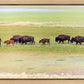 Migration