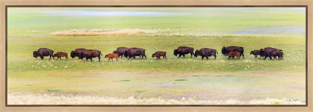 Migration Gallery Wrap
