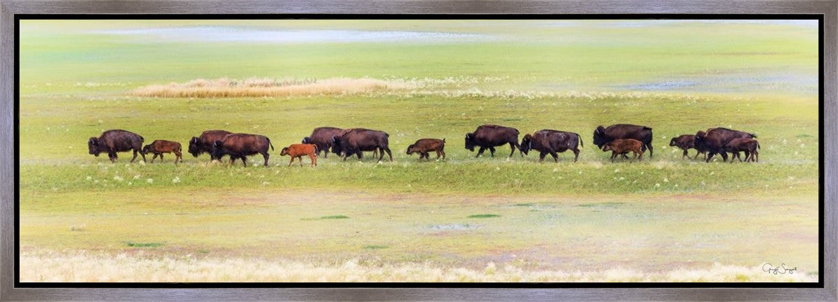 Migration Gallery Wrap
