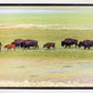 Migration
