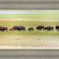 Migration