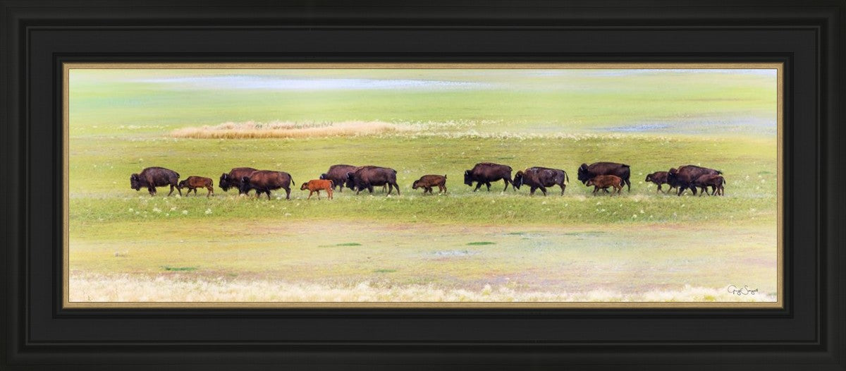 Migration