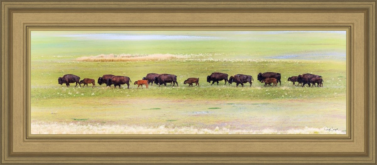 Migration