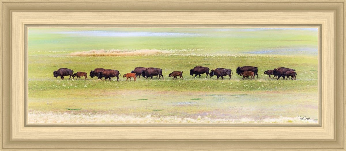 Migration