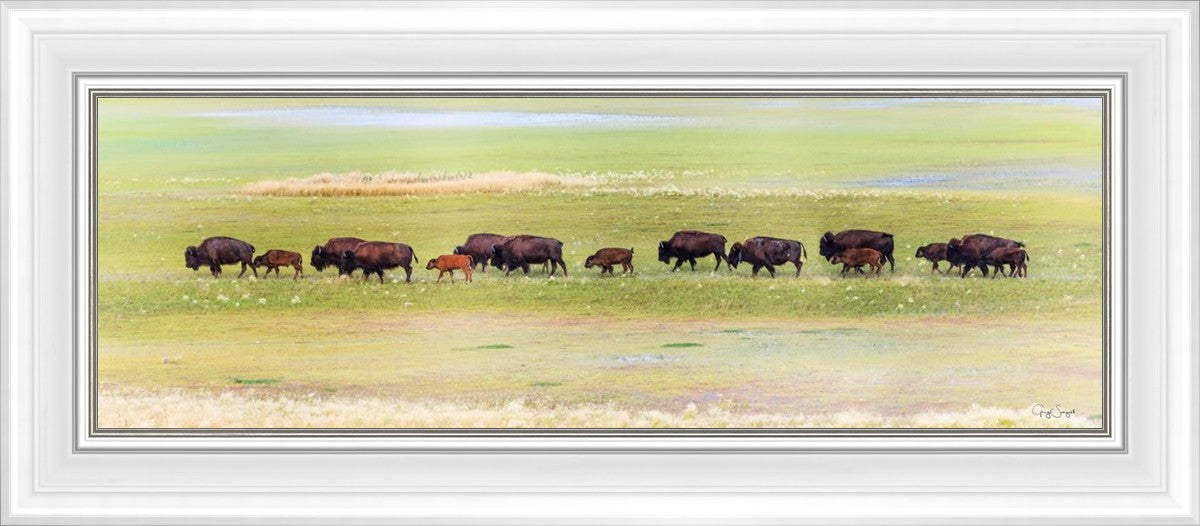 Migration