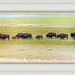 Migration