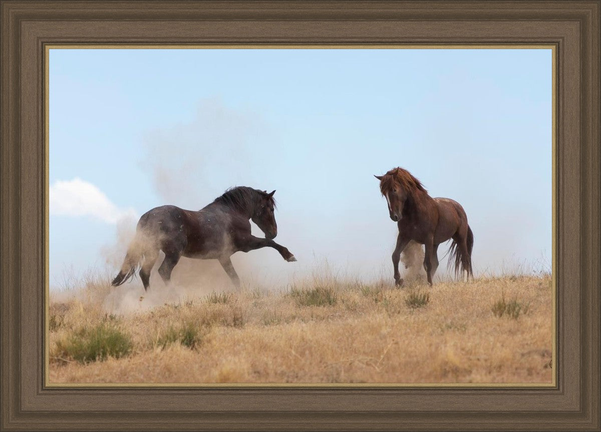 Turf War
