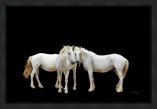 Three White Horses Gallery Wrap