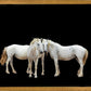 Three White Horses