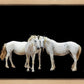 Three White Horses