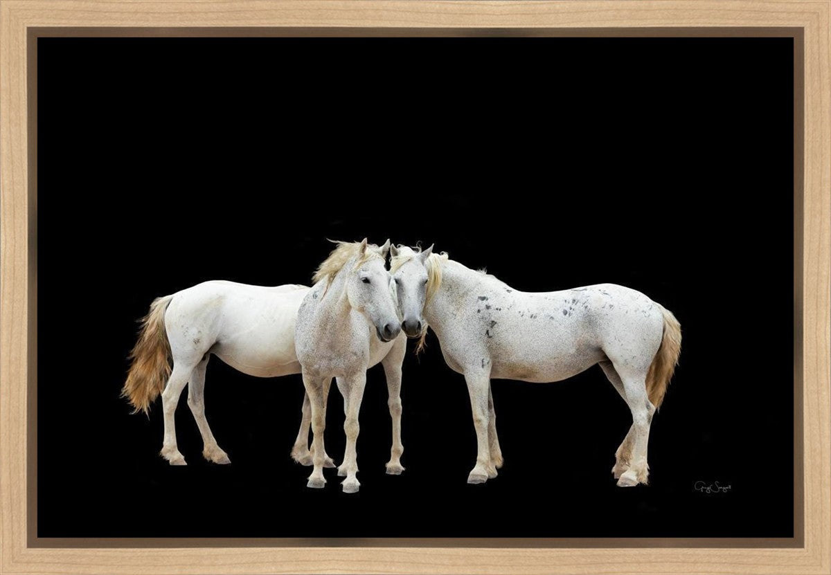 Three White Horses Gallery Wrap