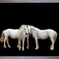 Three White Horses