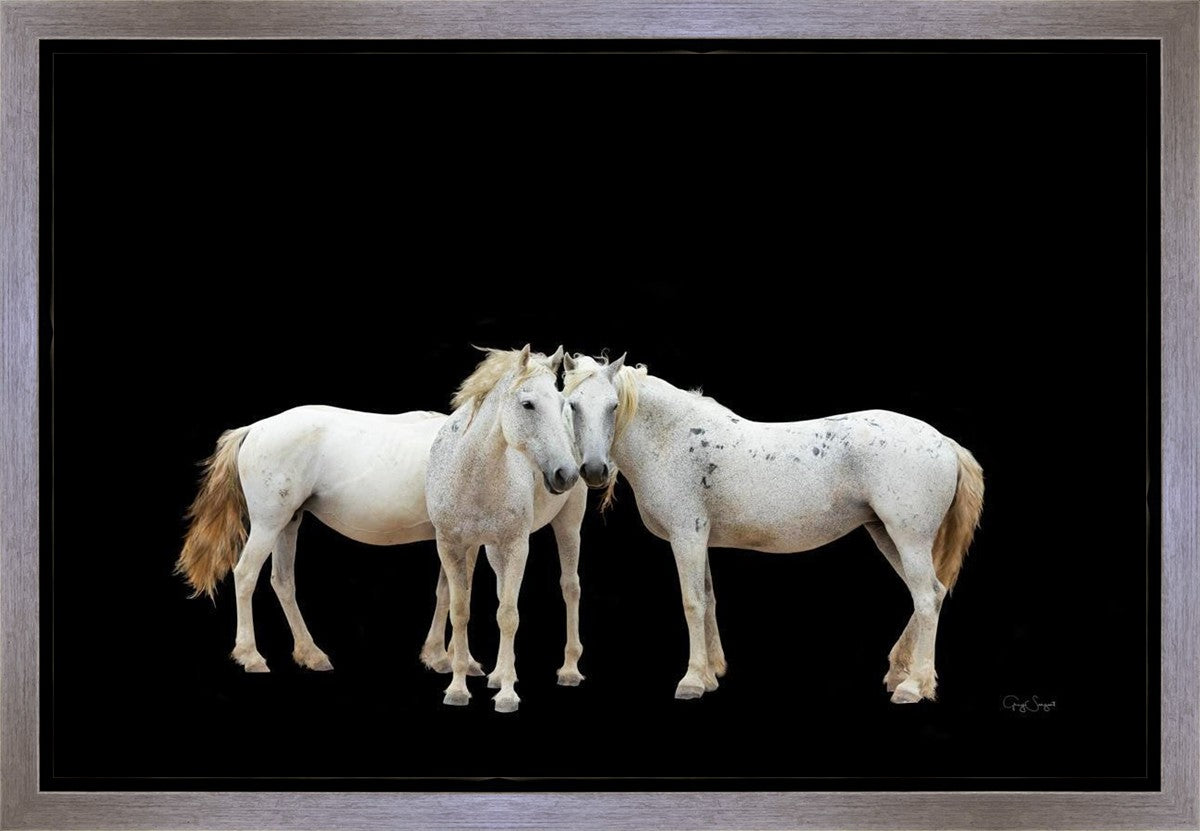 Three White Horses Gallery Wrap