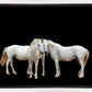 Three White Horses