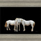 Three White Horses