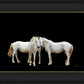 Three White Horses