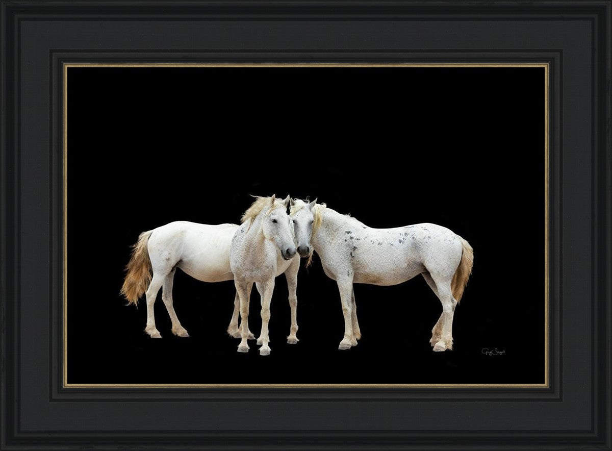 Three White Horses